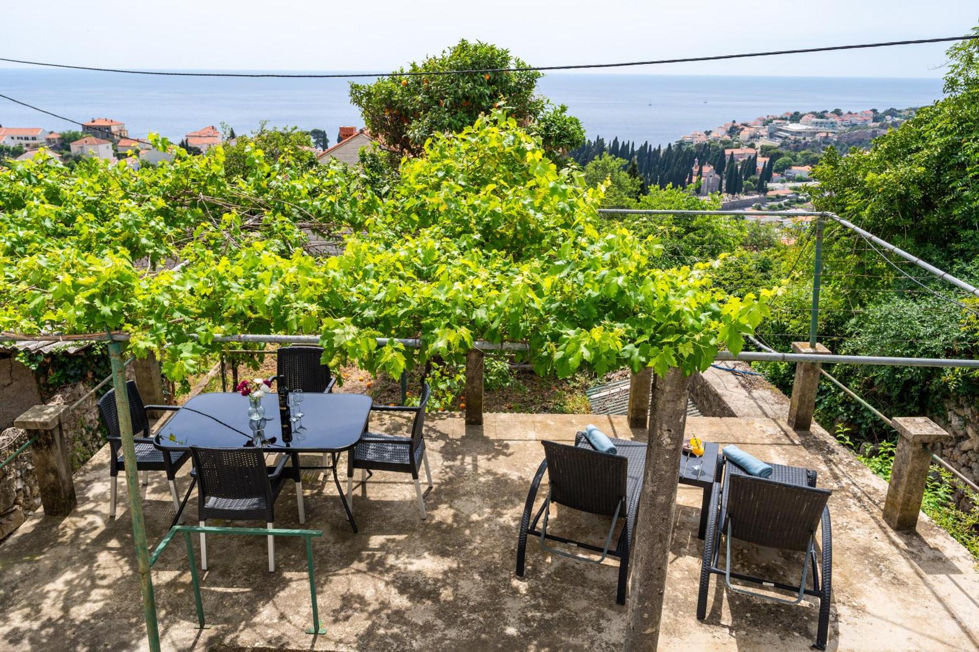 Ivo Dubrovnik